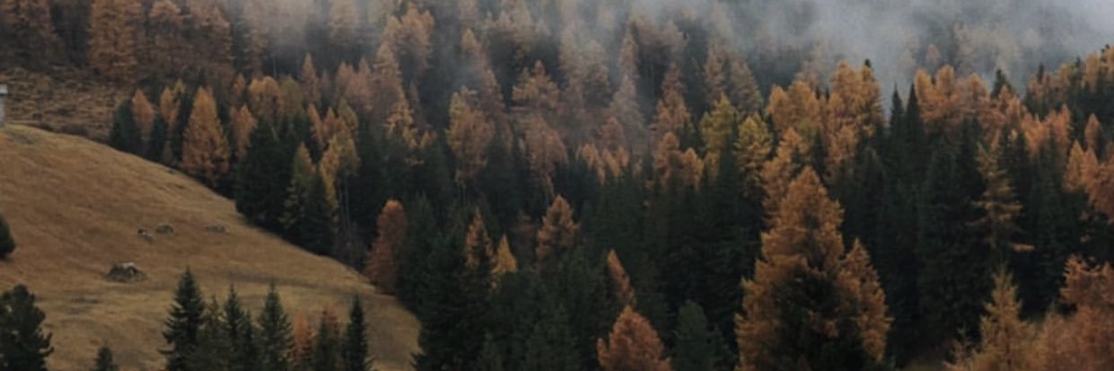 m banner