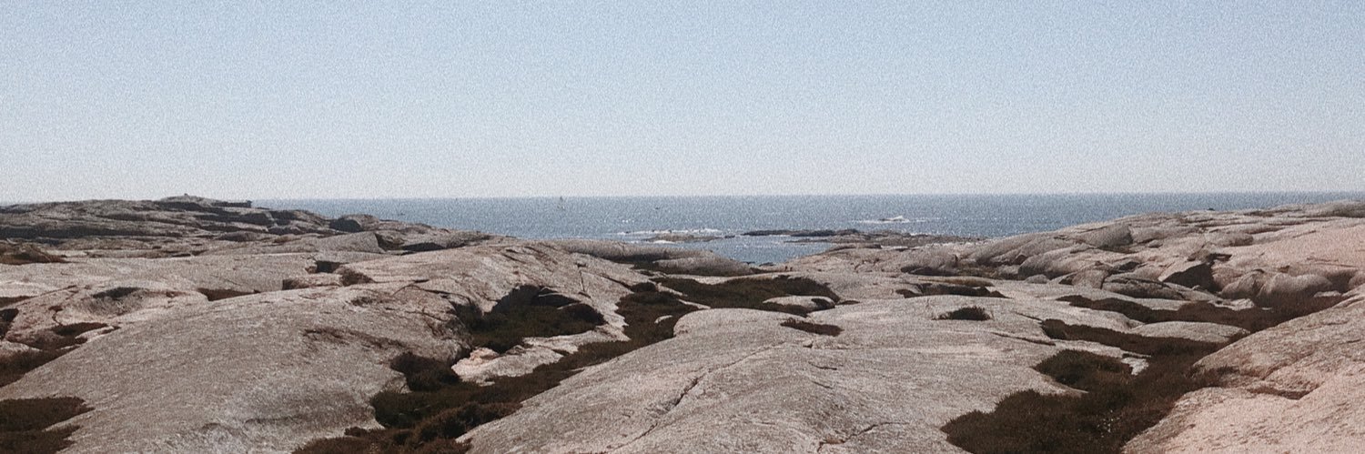 evelinalofstrom's profile banner image