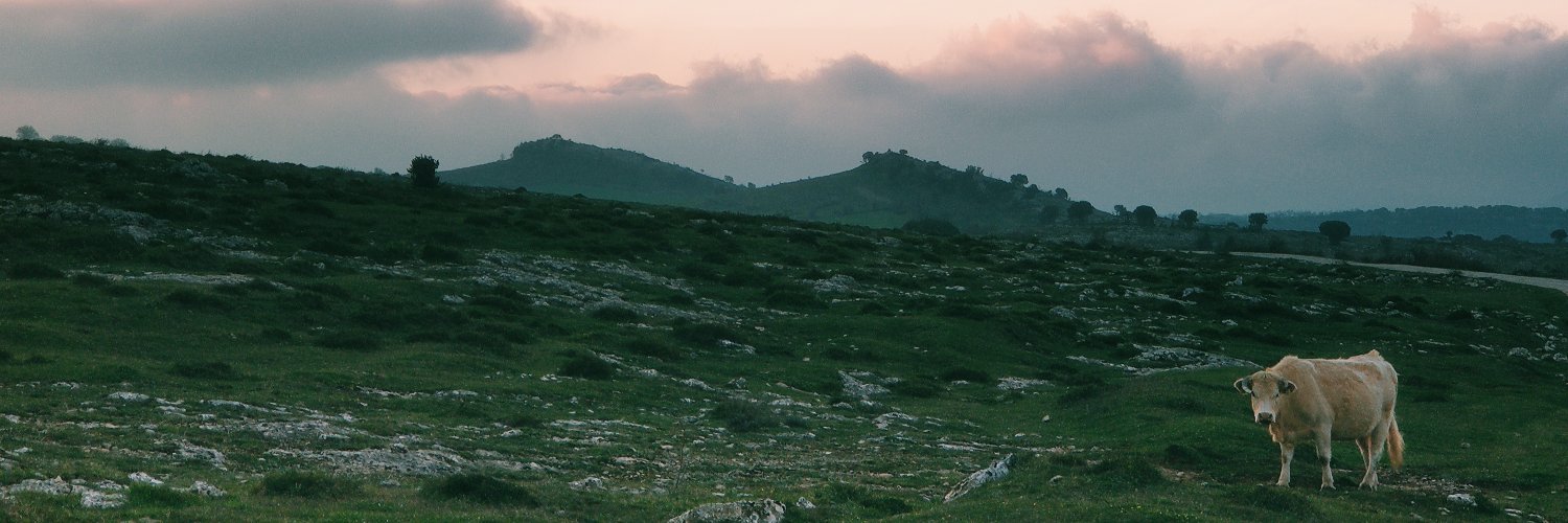 ffertxo's profile banner image