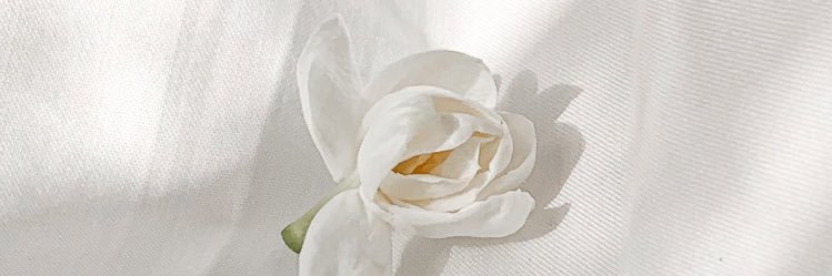 kloudalb_'s profile banner image