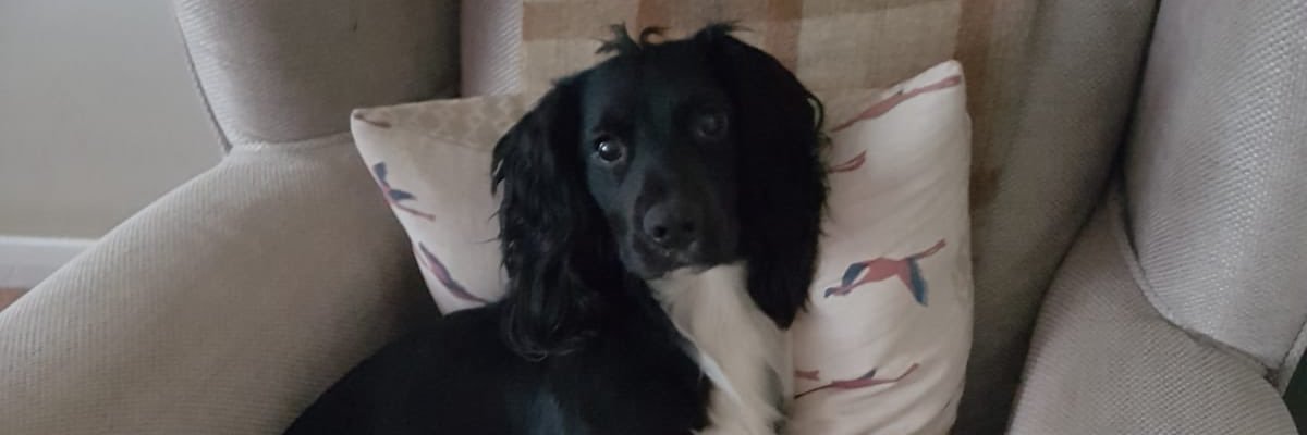 AndyDuncan1's profile banner image
