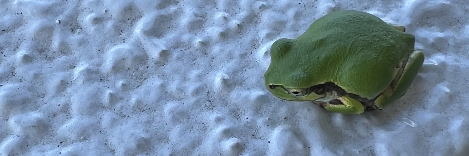 ローマのおもち banner