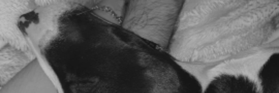 FranNoTeLos's profile banner image