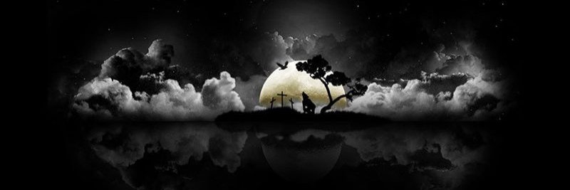 MeharGul6's profile banner image