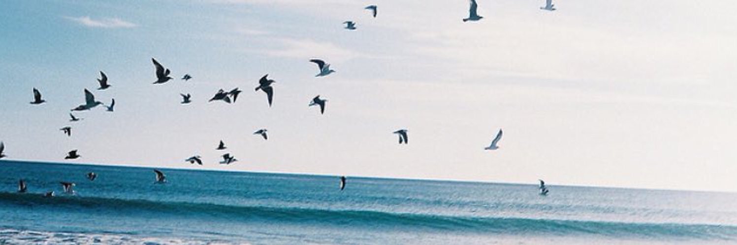 خلود 🍂. banner