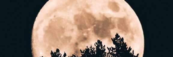 3alodah's profile banner image