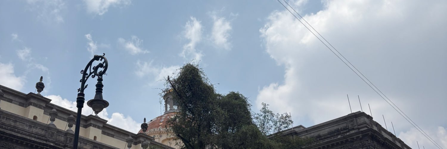 dani banner