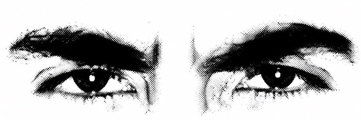 NoesisRebel's profile banner image