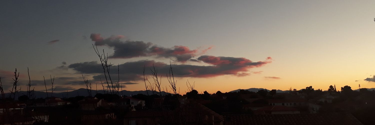 larriesrose's profile banner image