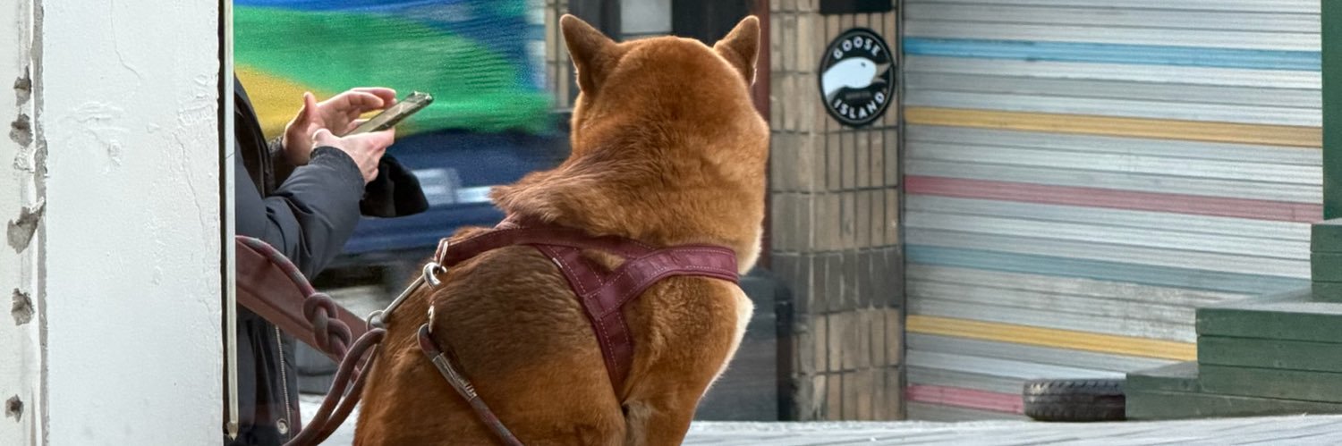 huyanh149's profile banner image
