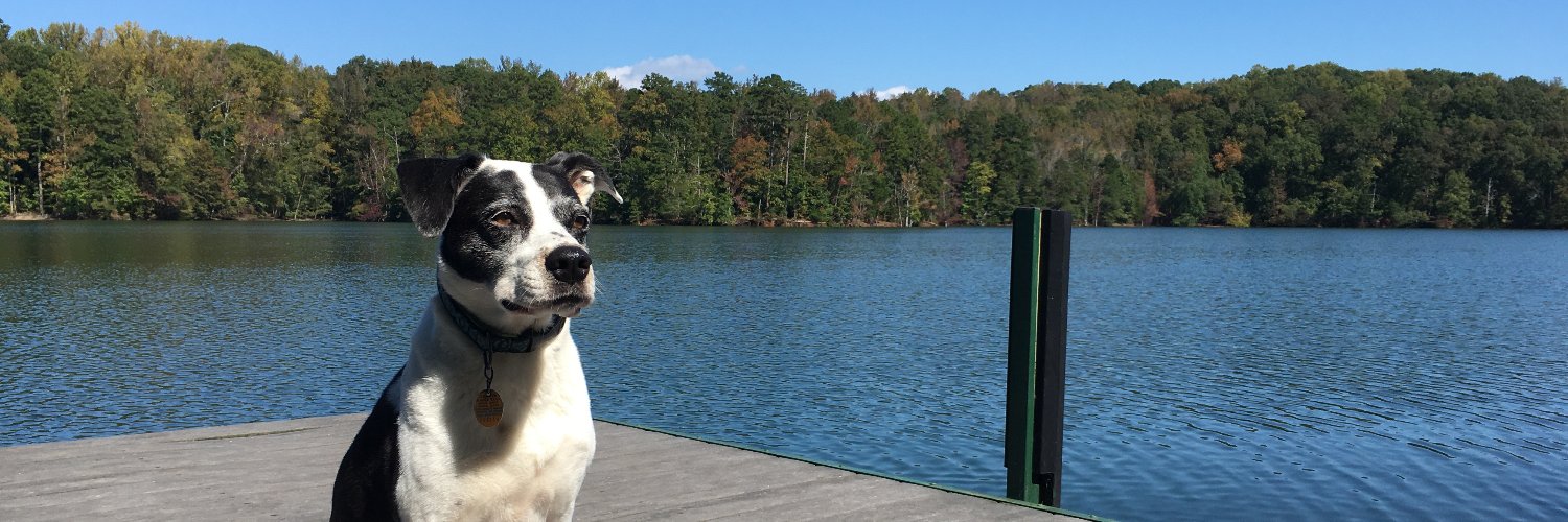 kdyerlab's profile banner image