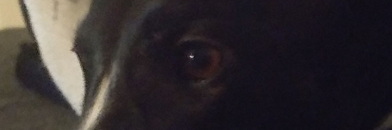 reeve89's profile banner image