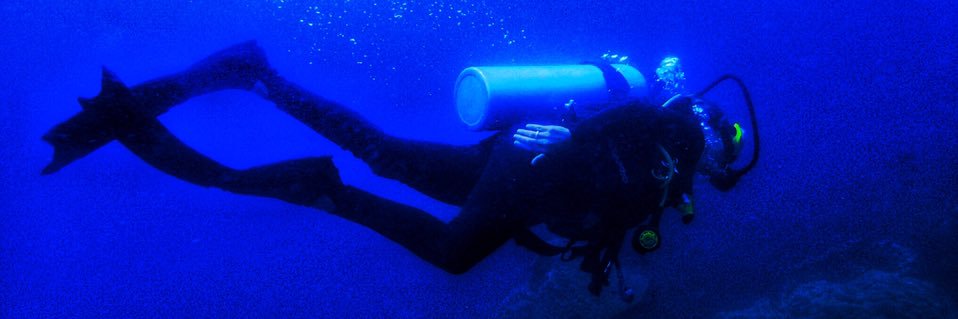 Dr Lauren Gavaghan banner