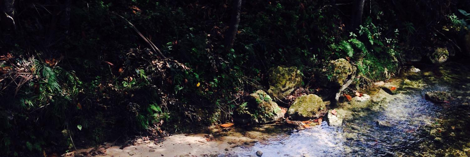 BritneyHolung's profile banner image