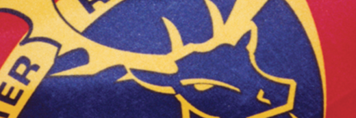 Munster Rugby banner