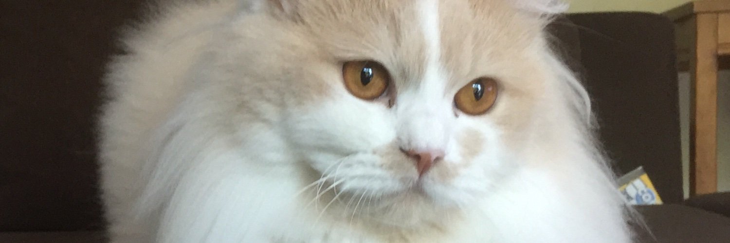 BillaVj's profile banner image