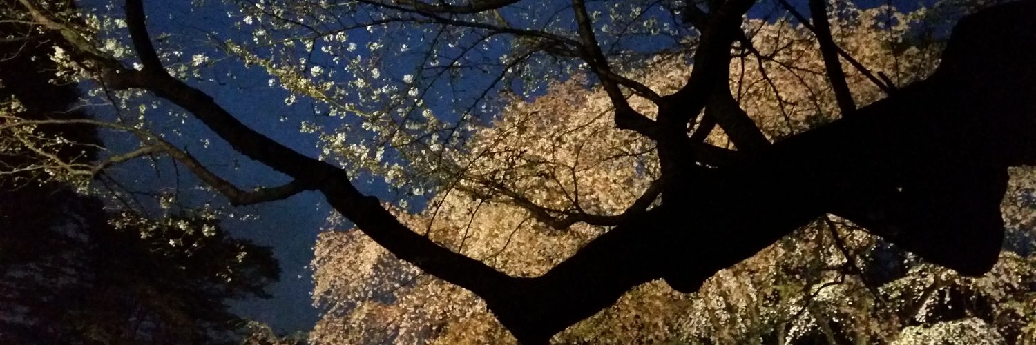 NOiRTGiF's profile banner image