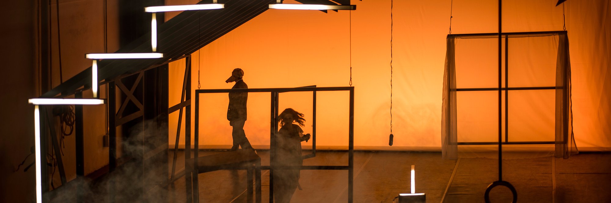 Lorena Briscoe banner