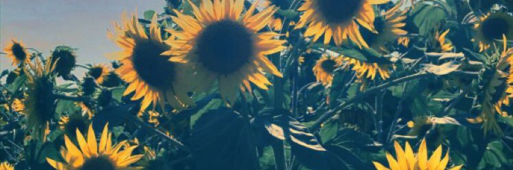 zeenuhhh's profile banner image