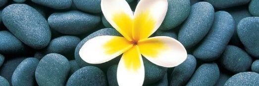 ntomby_za's profile banner image