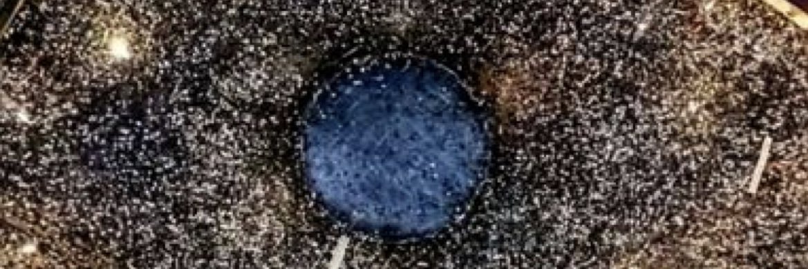 Derishtee's profile banner image