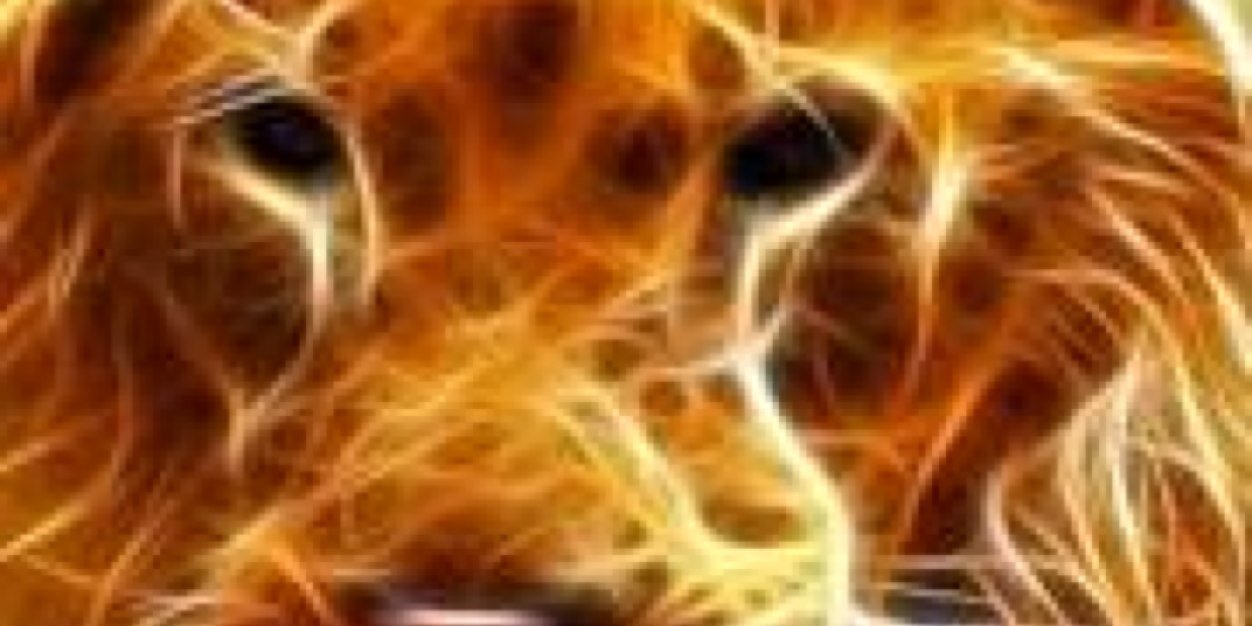 nacaes_johan's profile banner image