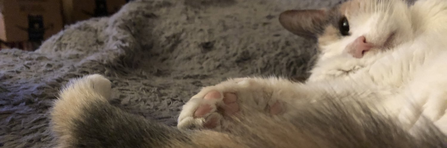 Rob’em, Steve-Dave (Heel Account) 🐜🐱 banner