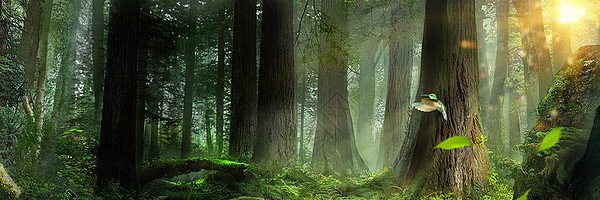 ブリ♪（埃） banner