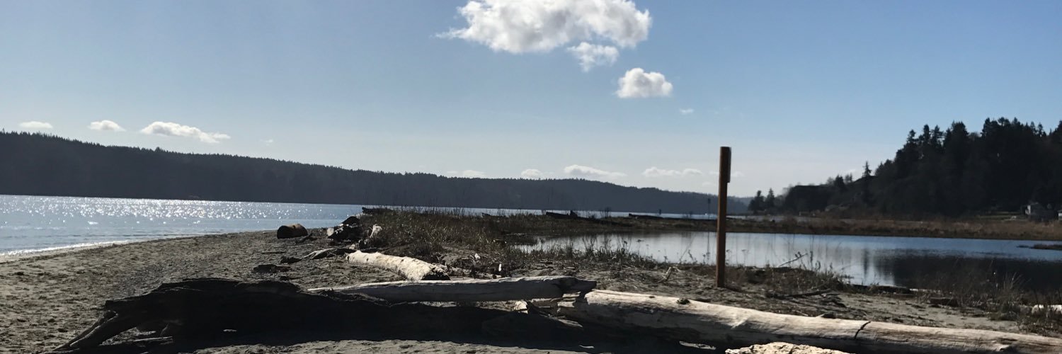 SuzQAnderson's profile banner image