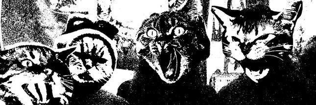 teethmarksband's profile banner image