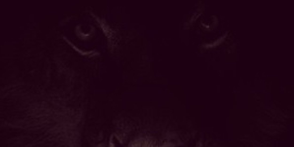 ammymelru's profile banner image