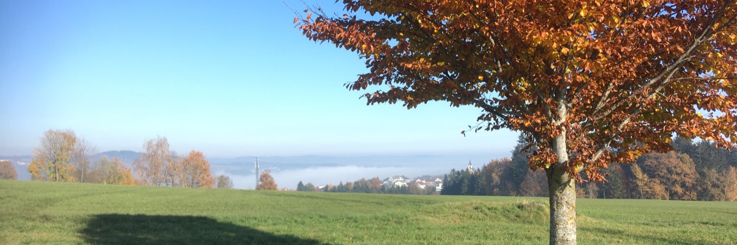 Barbara Schachner 🇺🇦🌻 banner