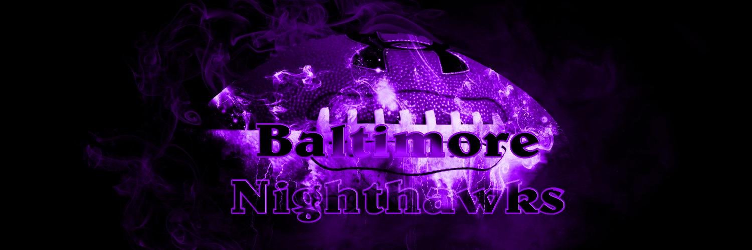 Baltimore Nighthawks banner