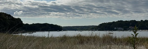 dawnberkoski Profile Banner