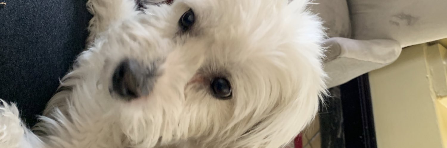 Zinhle Radebe banner