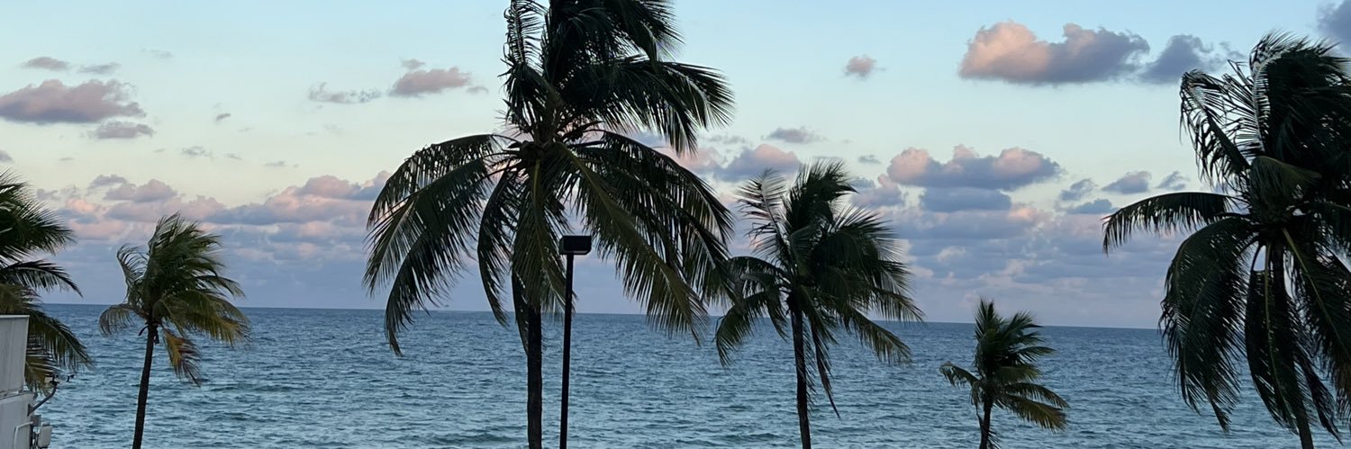 DelfiPiacent's profile banner image