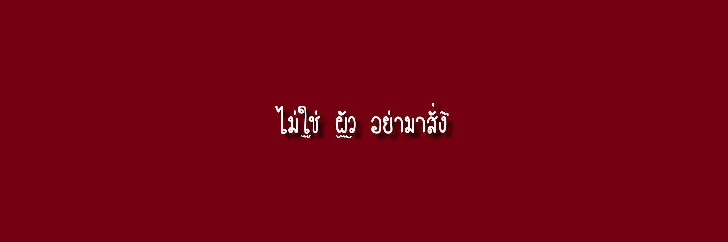 เพลงซอ banner