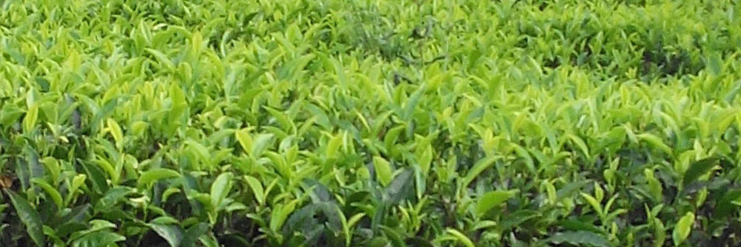 heyfahim's profile banner image