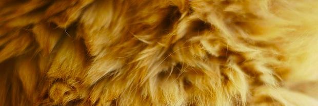 benri's profile banner image