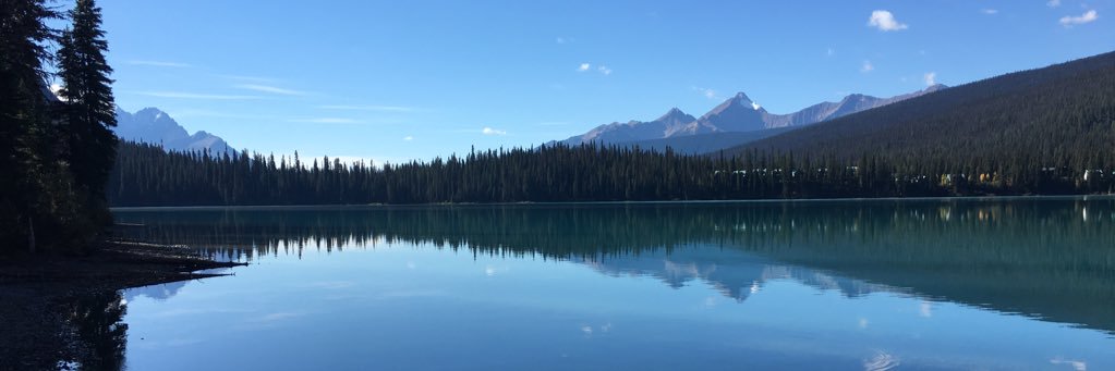 kimbabbarton's profile banner image