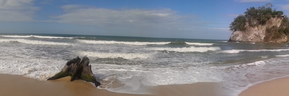 LALORussian's profile banner image