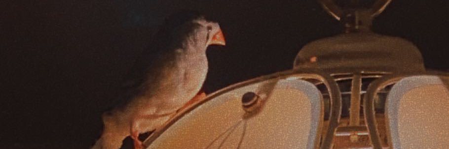 DMightyfield's profile banner image