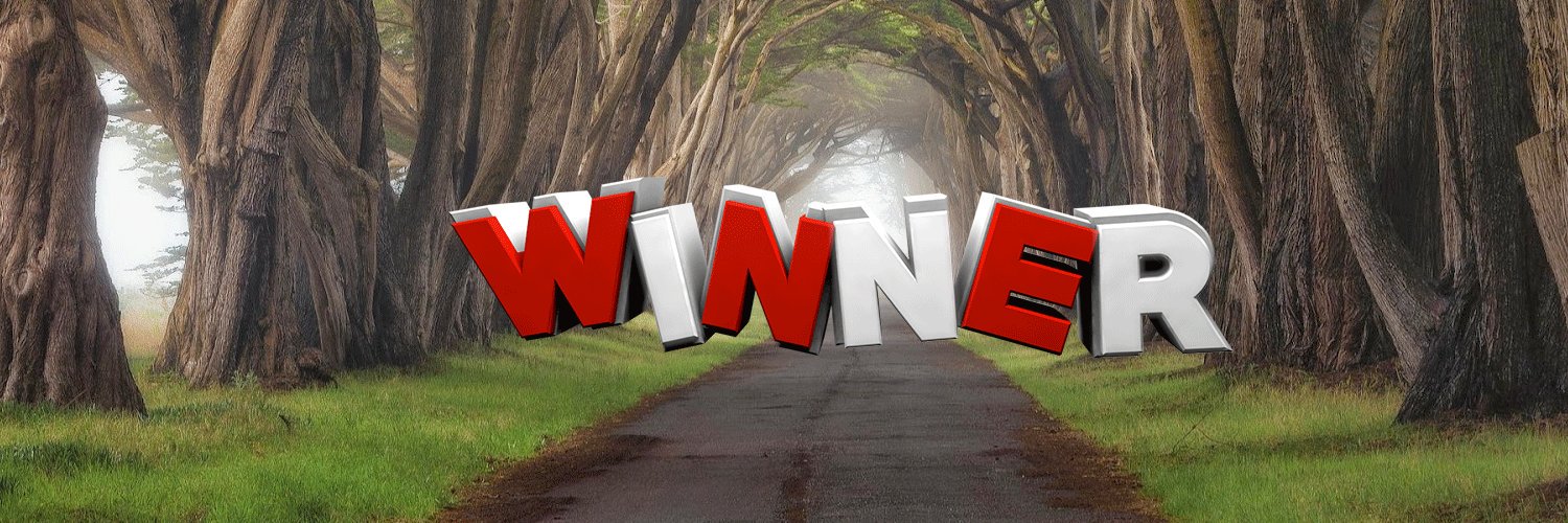 Winner™ banner