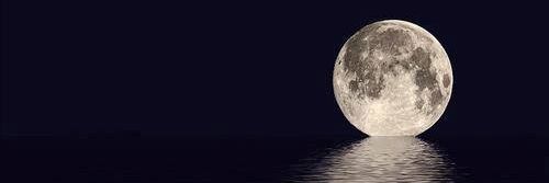 🌃ダルっち🌃 banner