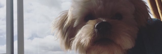 jessstag's profile banner image