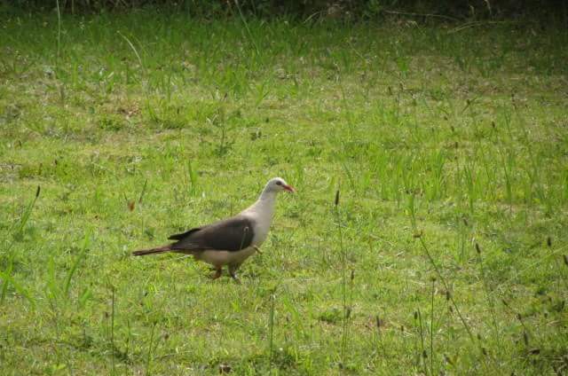 Ghanishta Seeburrun banner