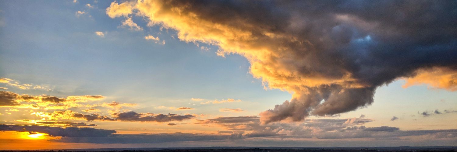 Daniela Esteves 🇪🇺 banner