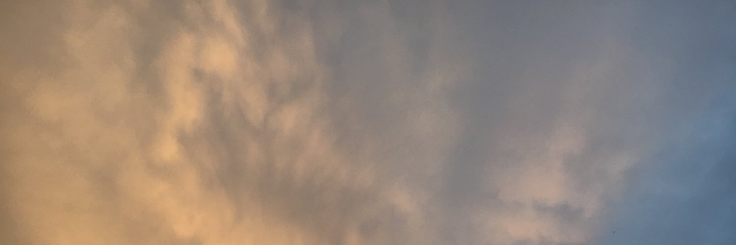hazel banner