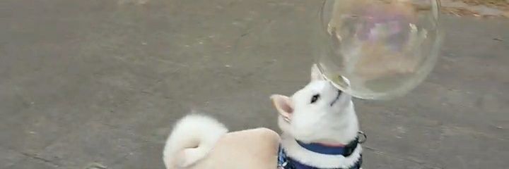 kaedechan0806's profile banner image