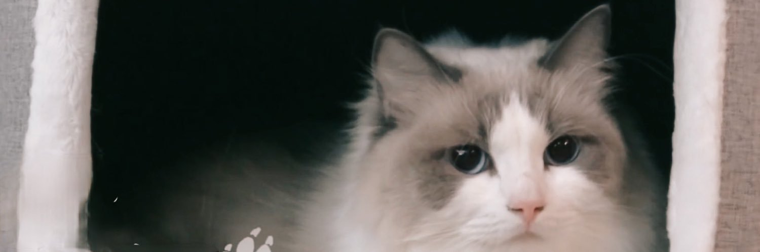 (っ◔◡◔)っ🍑 DaniEl.K☀️♥ banner